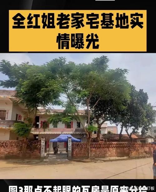 2025全年免费资料大全和全红婵家新房被淹与全红婵家房子