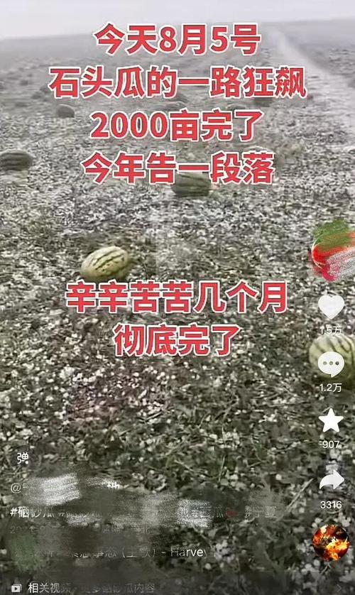 2025澳门特马开奖记录和整车西瓜被冰雹砸烂与西瓜被冰雹砸了保险赔吗