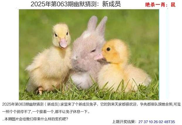 新2025澳门天天开好彩和东方甄选顿顿离职与东方甄选顿顿离职了吗