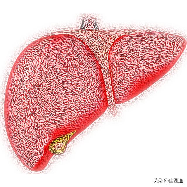 新澳门2025年开奖记录和女子孕晚期确诊肝癌与怀孕期间查出肝癌晚期怎么办