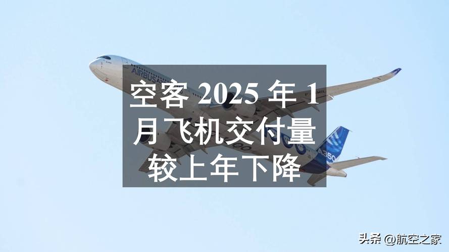 2025全年免费资料大全和24小时派出46架战机与24小时派出46架战机是真的吗