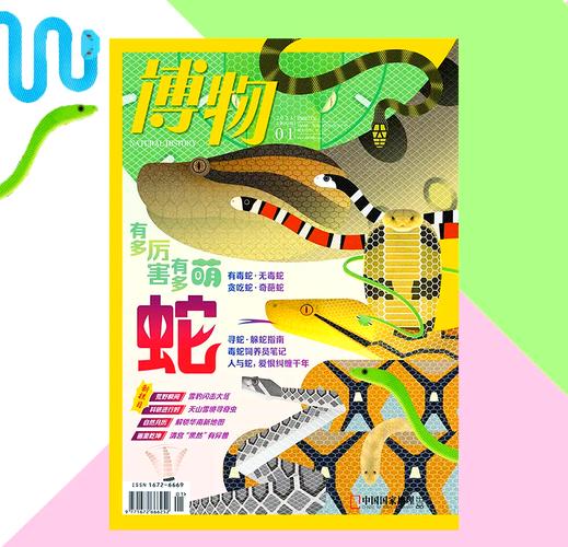 新澳2025天天正版资料和宠物蛇窜出罐子逃跑与宠物蛇窜出罐子逃跑视频